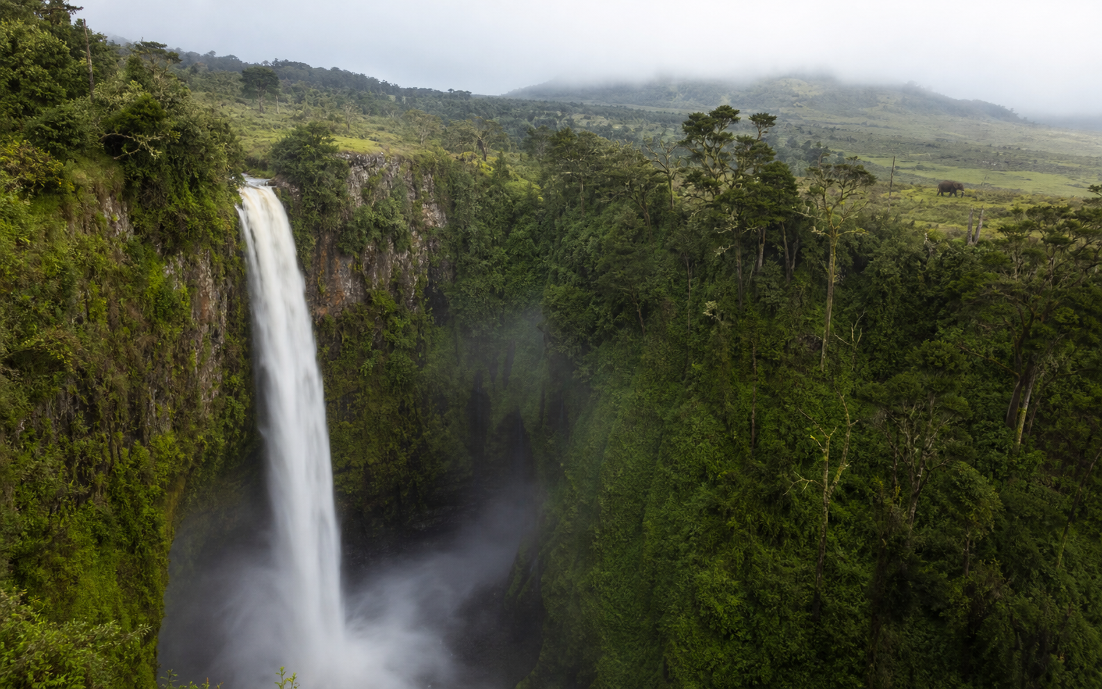 7 Days Meru, Ol Pejeta & Aberdares